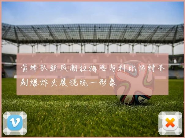 黄蜂队新风潮拉梅洛与科比怀特齐剃爆炸头展现统一形象